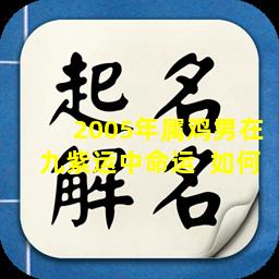 2005年属鸡男在九紫运中命运  如何
